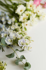 Flowers on a white background
