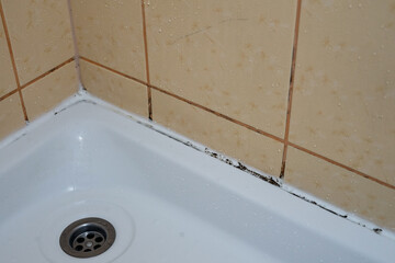 Mold and moisture in the bathroom corner
