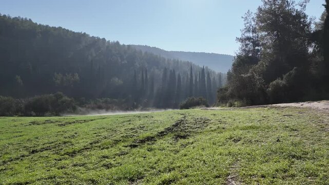 Aerial video of the Ein Hashofet Forest area Israel 