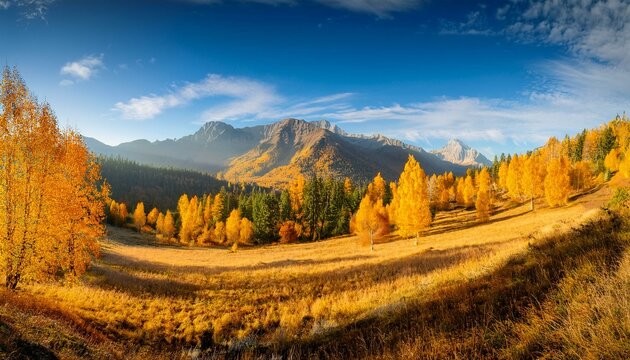 stunning sunny yellow autumn aprk panorama