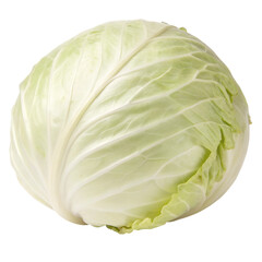 Obraz premium Harvesting fresh green cabbage in a farm field organic produce outdoor close-up view, isolated on white or transparent background