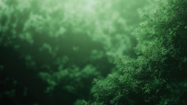 Abstract Glowing Green Particle Background with Hazy Atmosphere