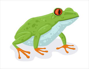 Cartoon tropical frog. Exotic rainforest amphibian animal, green exotic frog flat vector illustration. Cute frog on white background