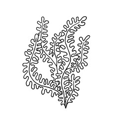 Line sketch, seaweed doodle, decorative botanical element. Vector graphics.