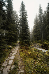Liptov region hiking in jasna in Low Tatras mountains landscape, slovakia.