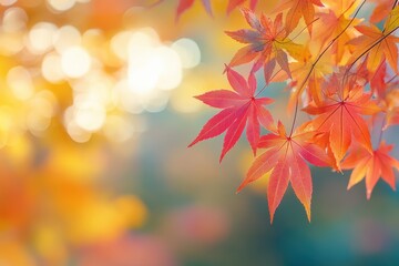 Fototapeta premium Blurred Autumn Background with Falling Leaves