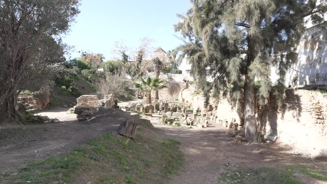 Ruins of old Carthage in Tunis