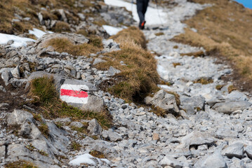 Obraz premium Piotr Wojtkowski