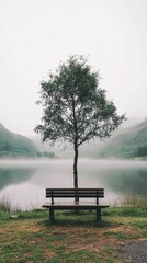 Obraz premium Serene Lake View with Isolated Tree and Empty Bench in Misty Environment