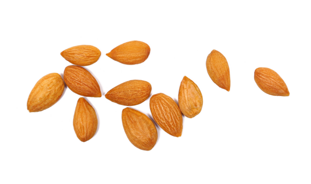 Apricot kernels isolated on white background, top view