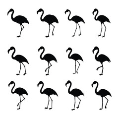 Flamingo animal vector silhouette.Flamingo black silhouette vector.Flamingo Animal Tropical Silhouette Vector.Flamingo silhouette illustration