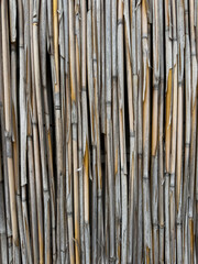 Weathered Reed Fence Texture Close-Up, Eroded by the Elements
