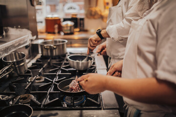 A skilled chef is diligently cooking various types of meat in a frying pan that is placed on top of a stove, creating delicious dishes