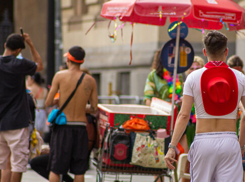 Camelo e foli&otilde;es no carnaval de rua de S&atilde;o Paulo.