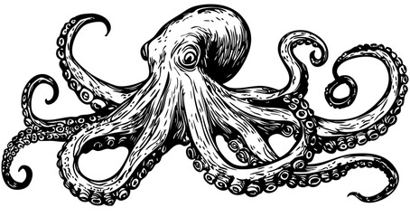 Obraz premium Detailed Cartoon Octopus Drawing Perfect for Design and Art Projects, Sketch, Transparent Background, vector
