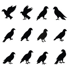 Eagle vector silhouette,Silhouettes of wild birds in flight,Vector silhouettes eagle,Bald Eagle Silhouettes