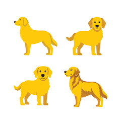 Set of golden retriever vector illustration.
