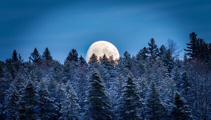 full moon casting a silver glow on wisconsin forest forest wisconsin