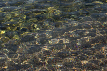 Clean coastal water with small colorful pebbles and algae at the bottom. High quality photo
