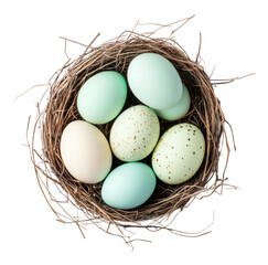 Decorative eggs nestled in a natural nest isolated on transparent background