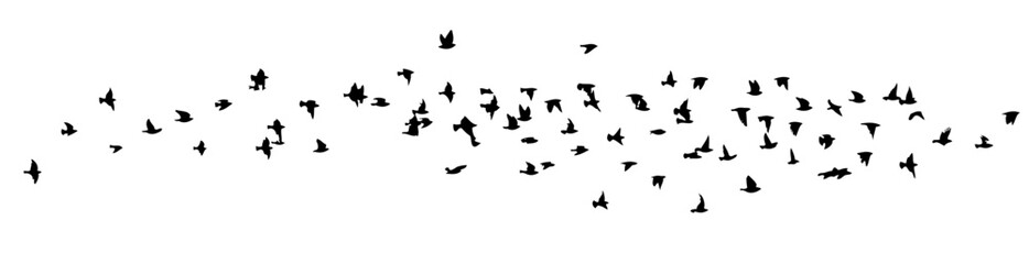 Flying birds silhouette flock. hand drawing. Not AI. Vector illustration