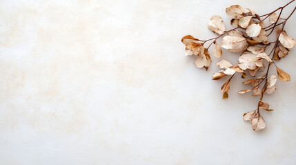 Fading autumn scene with withered flowers gently losing their color, set against a backdrop of soft pastel hues. The cool, muted tones evoke a sense of quiet reflection and the pas