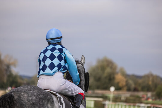 Detail Horseracing 