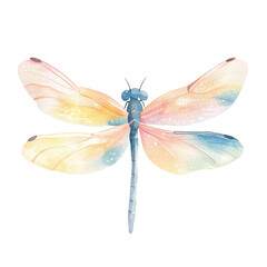 Colorful watercolor dragonfly with translucent wings and vibrant pastel hues on transparent background isolated png