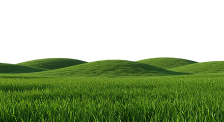 Fototapeta premium green grassland landscape png 
