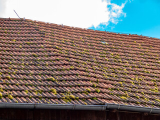 Moos auf einem alten Dach