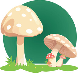 Mushrooms on the grass