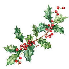 Obraz premium Colorful holly branch with lush green leaves and vibrant red berries on transparent background isolated png