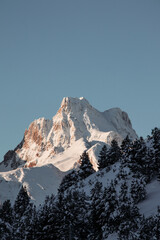 snow covered mountains