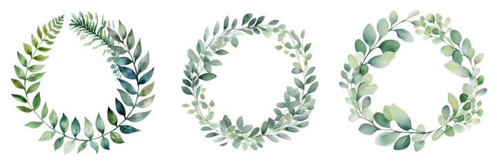 Three elegant green foliage wreaths with varied leaf patterns and textures on transparent background isolated png