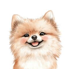 Obraz premium Watercolor portrait of a fluffy happy pomeranian dog with smile and tongue out isolated png