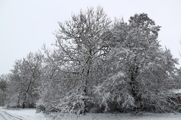 invierno