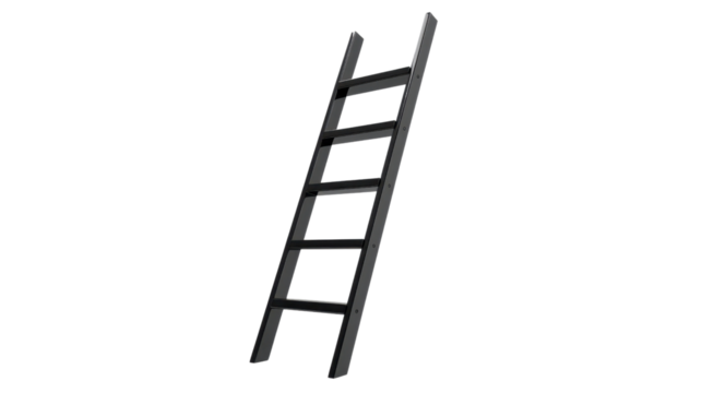 Black metal ladder leaning against transparent background