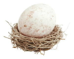 Obraz premium Nest with a single egg resting inside it isolated on transparent background