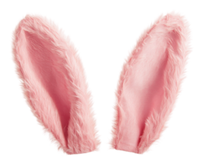 Pink bunny ears for festive fun! isolated on transparent background