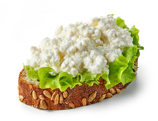 bread slice with fresh cottage cheese