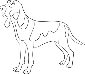Line drawing of the dog, unick line artwork
