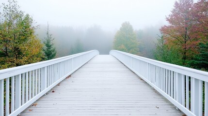 Foggy autumn bridge path to forest