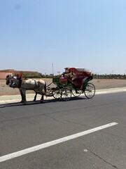 Historical monuments in the city of Marrakech