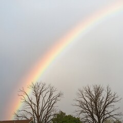 Rainbows After Rain
