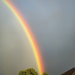 Rainbows After Rain