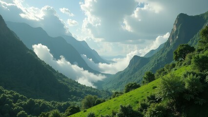 Obraz premium view of the mountains