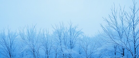 Winter Color Palette