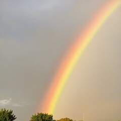 Rainbows After Rain