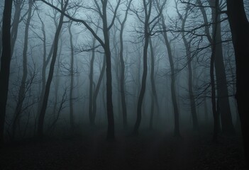 Fototapeta premium Spooky Woods
