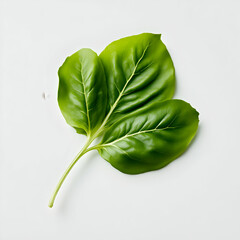 Vibrant Green Leaf With Rich Texture Highlighting The Natural Beauty Of Foliage Isolated On A Plain Background